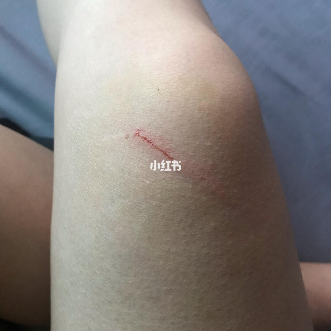 最新资讯